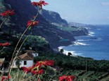 Канарские острова, Тенерифе. Сельский туризм.